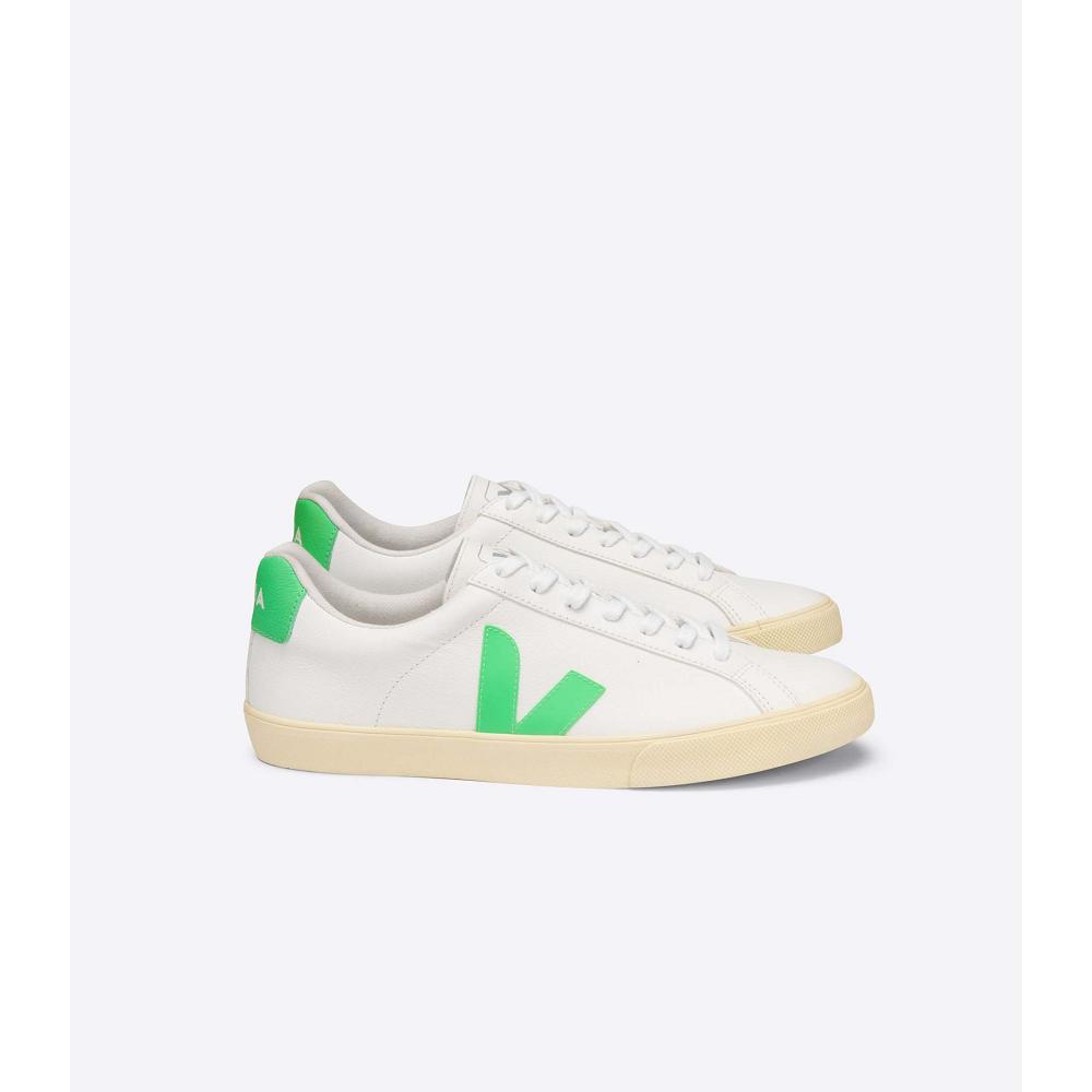 Veja ESPLAR CHROMEFREE BUTTER-SOLE Sneakers Heren Wit | NL 301BEX